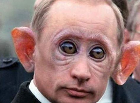 Putin Proch!!! Swoi grjaznue lapki ot Ukrainu. Mu protiw "Tamagawk" 